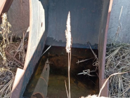 Экскаватор гусеничный CAT 319CLN. 20