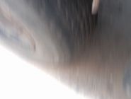 Полуприцеп бортовой Narko 23PP3 19