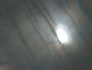 Прицеп-топливозаправщик ShopTank 16 Прицеп-топливозаправщик ShopTank 16