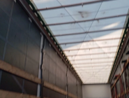 Полуприцеп штора Wielton NS3K 26