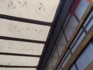 Полуприцеп штора Krone SD Год выпуска — 2011 21