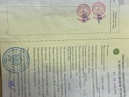 Экскаватор-погрузчик RUNMAX SE440 0 Экскаватор-погрузчик RUNMAX SE440 0